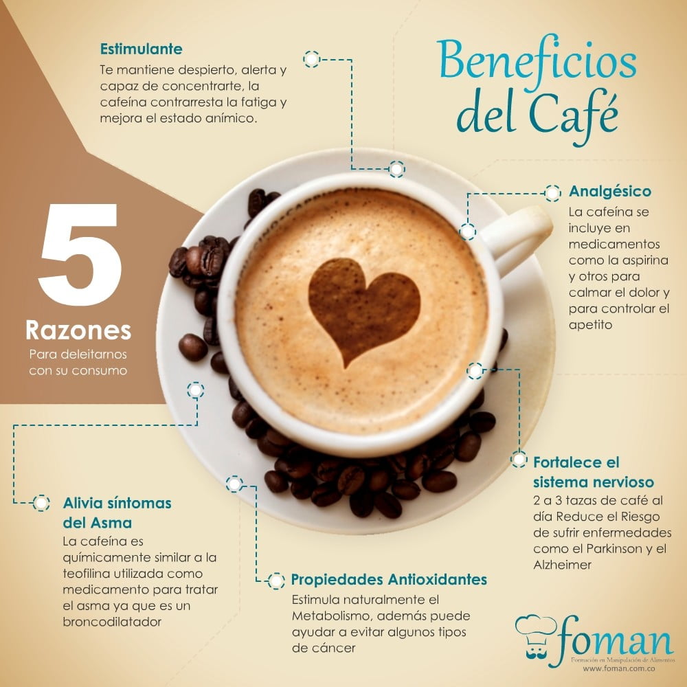 Excelentes características de la taza de café